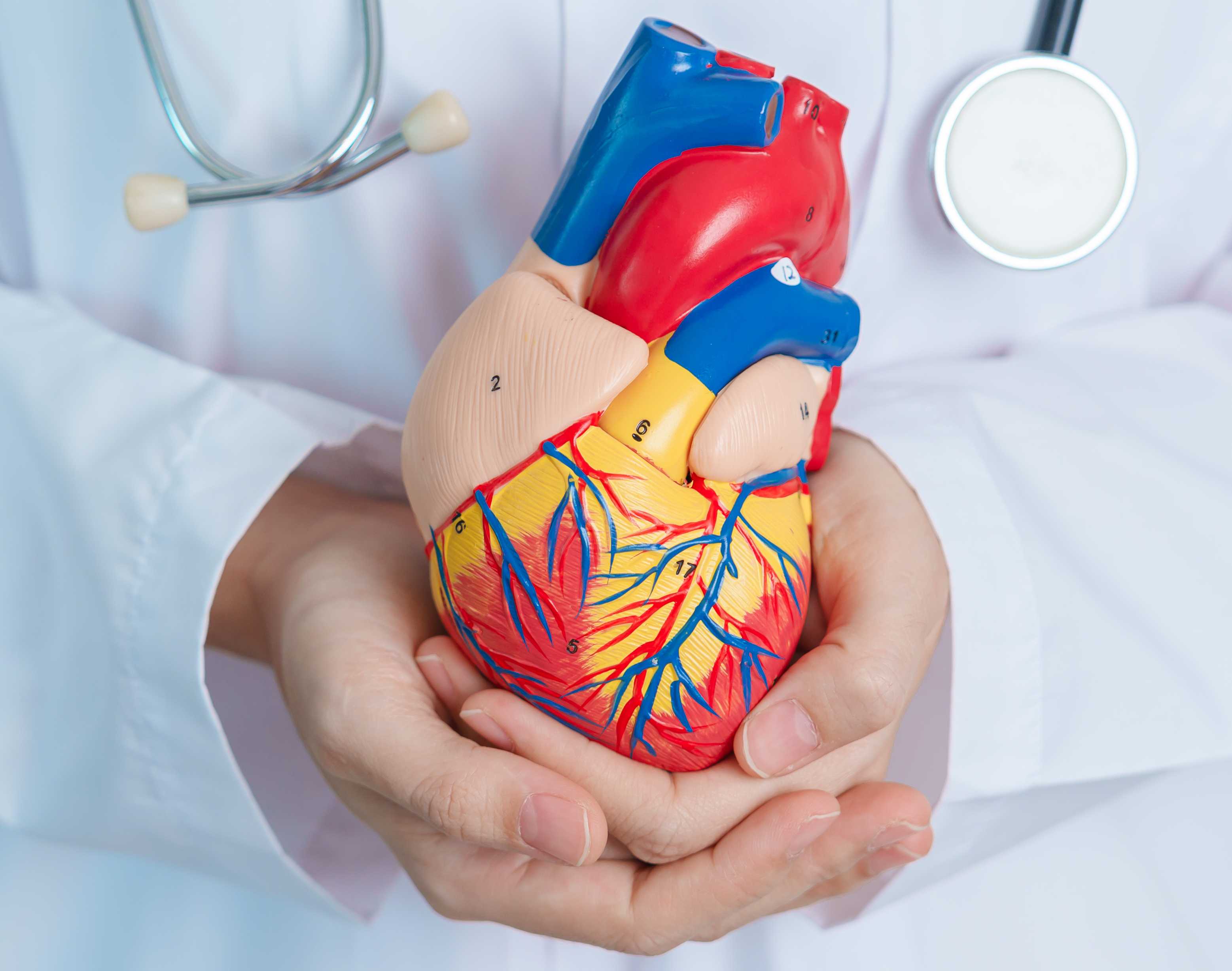 Specific Panels Image